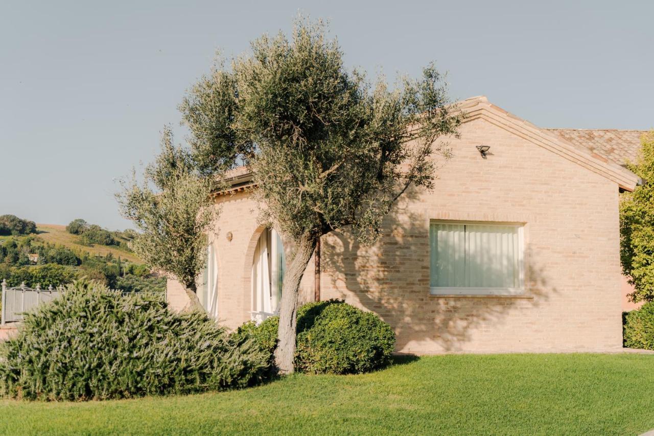 Nontiscordardime B&B Villa Agriturismo Civitanova Marche Exterior photo
